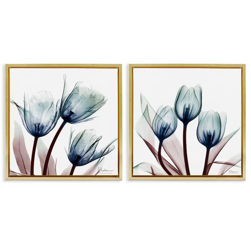 Stupell Vibrant Blue Tulips Framed Floater Canvas Wall Art Design By Albert Koetsier (Set of 2) - 25 x 25 - Gold