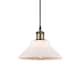 Option Matte White / Black Antique Brass