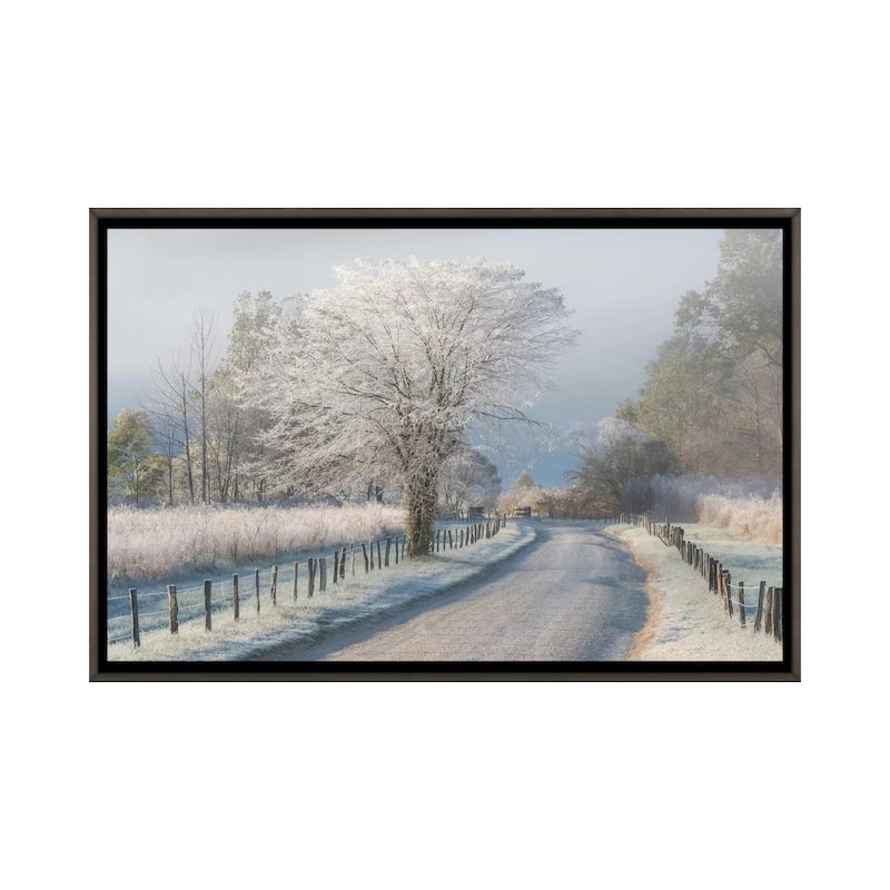 iCanvas "A Frosty Morning" by Chris Moore Framed - Charcoal - 18x26