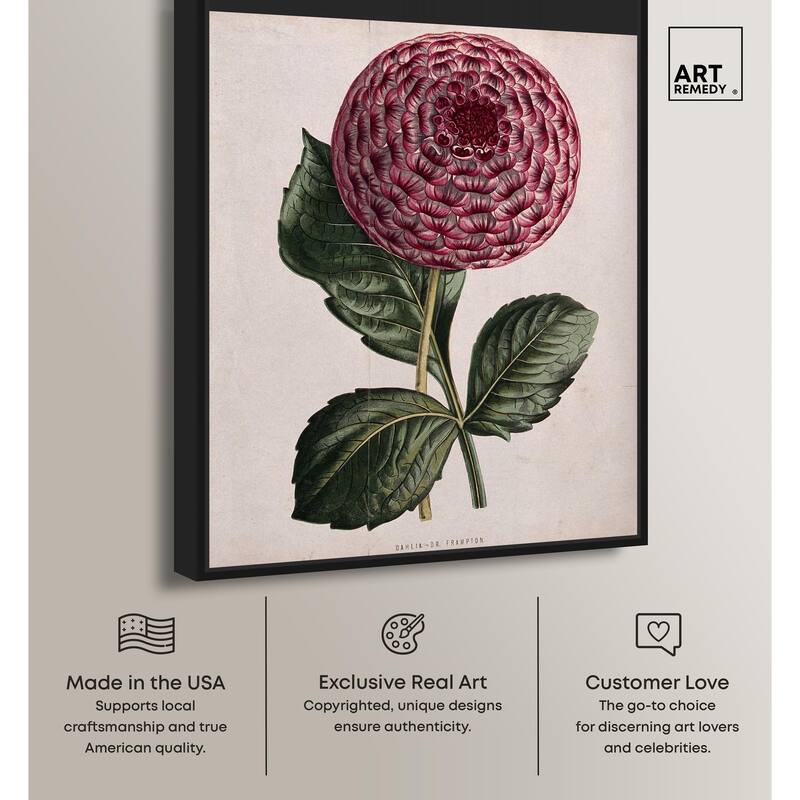 A dahlia Canvas by Art Remedy