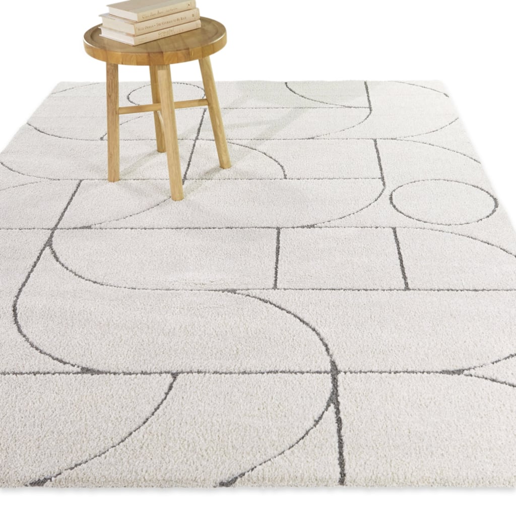 Lamantia Modern Geometric Area Rug