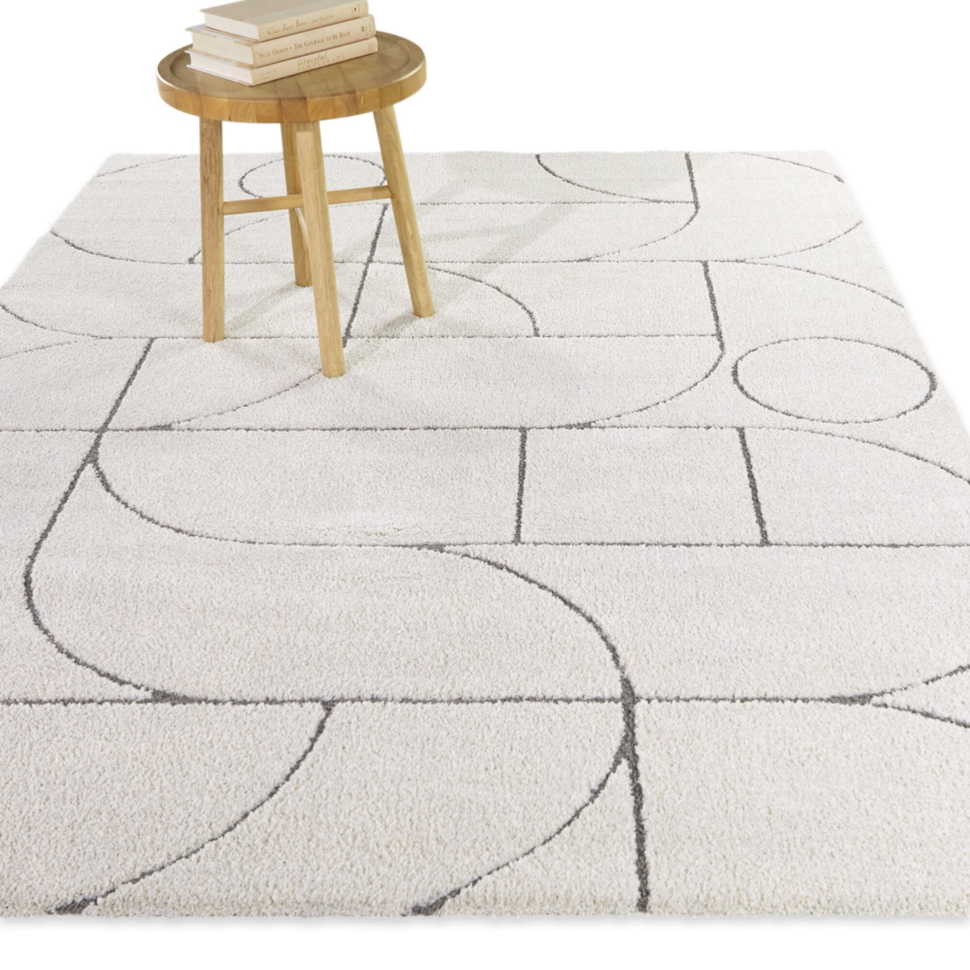 Lamantia Modern Geometric Area Rug
