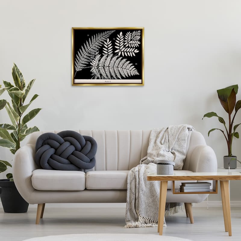 Stupell Fern Varieties on Black Framed Floater Canvas Wall Art Design By Phillipa Katz