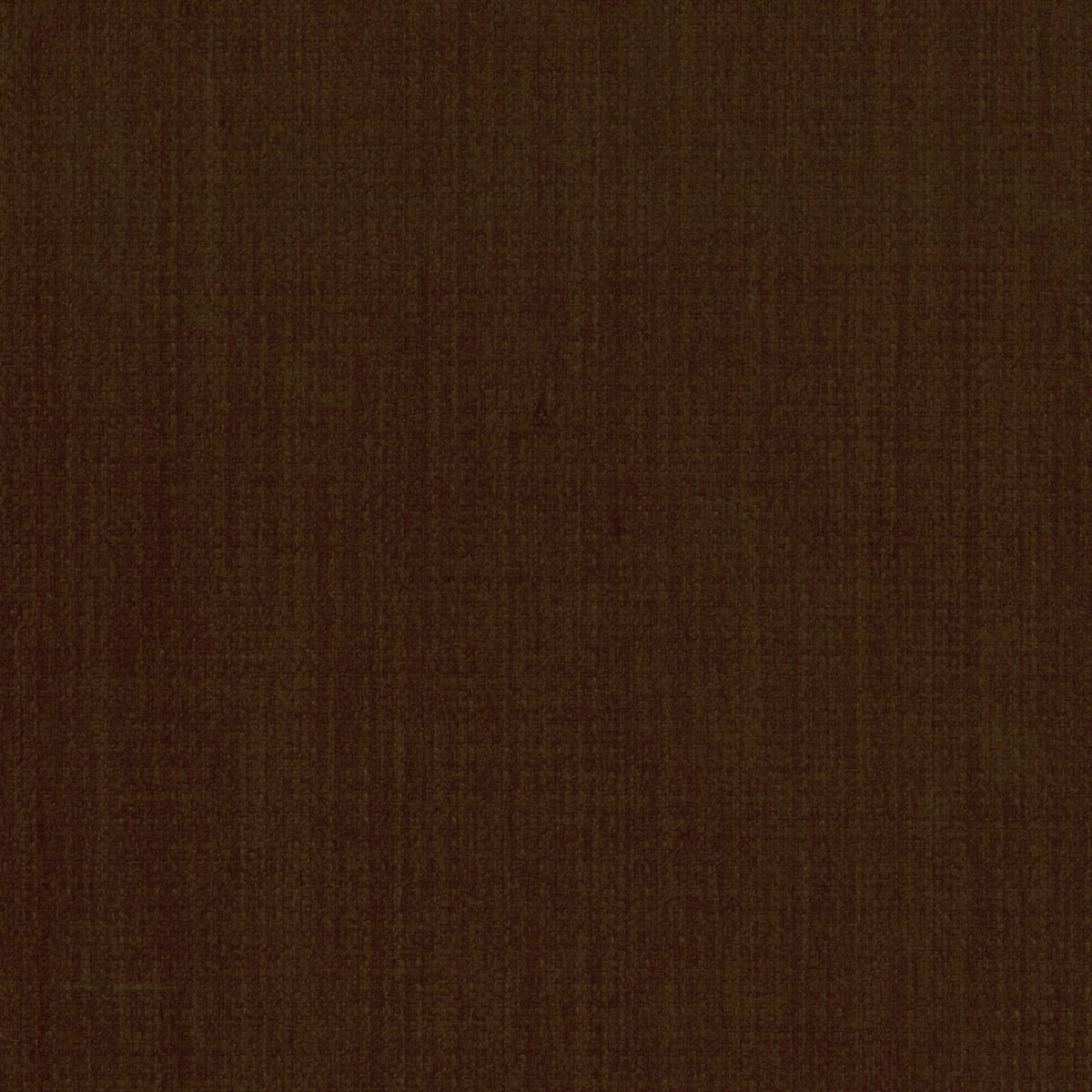 Option Cocoa