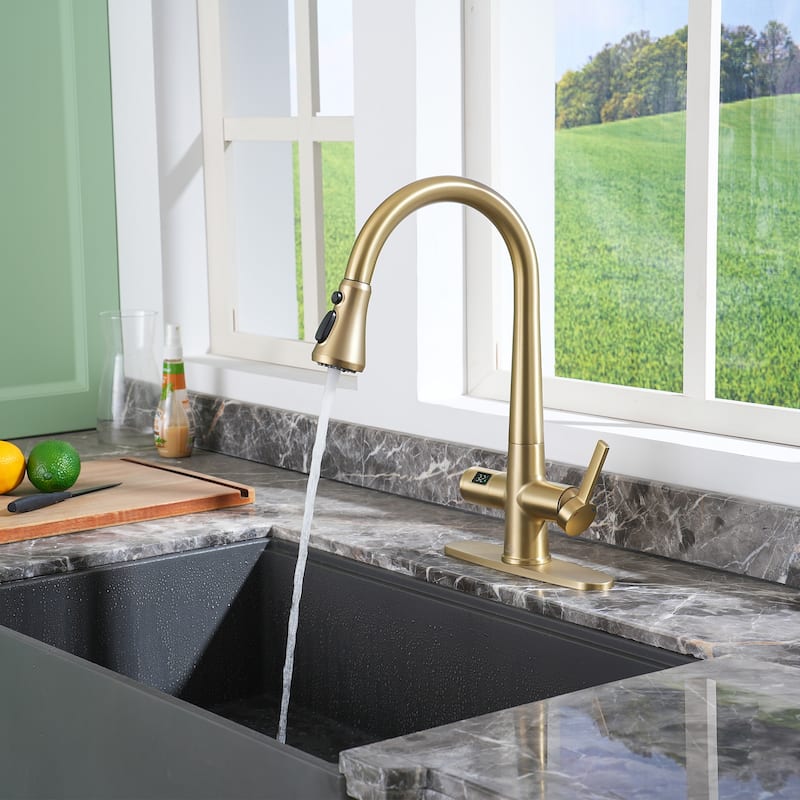 Single-Handle Pull-Out Sprayer Kitchen Faucet with Digital Display