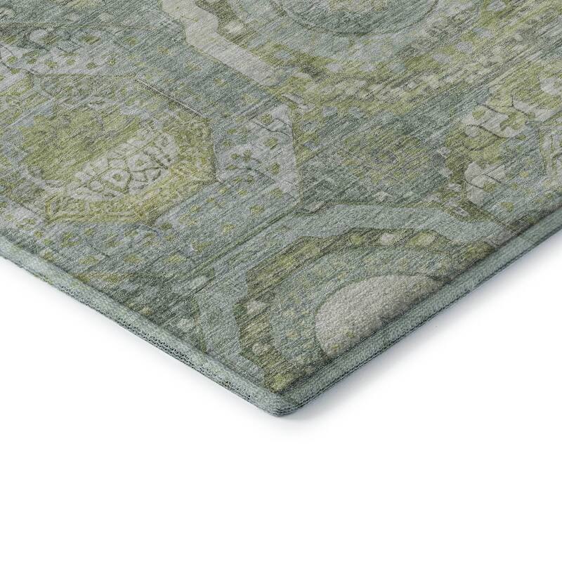 Premium Washable Super Soft Vintage Medallions Mayfield Rug