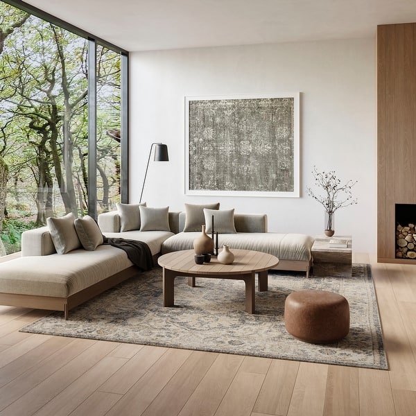 slide 2 of 97, Nourison Astra Machine Washable Distressed Area Rug 6' 7" x 9' - Gray/Multi