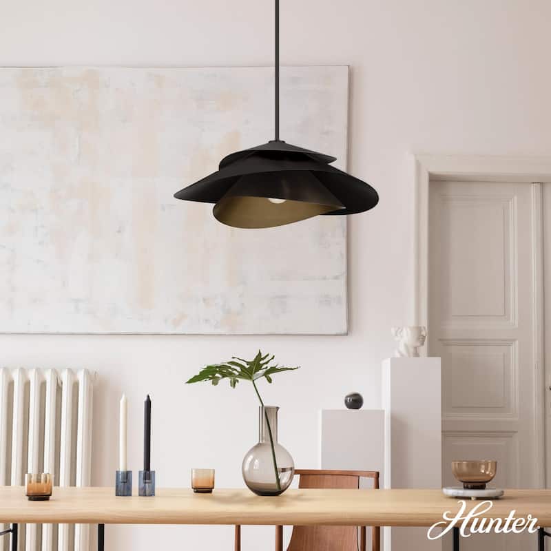 Hunter Hiro 1 Light Pendant - Kitchen, Dining Room, Entry - Contemporary, Modern - Statement Lighting!