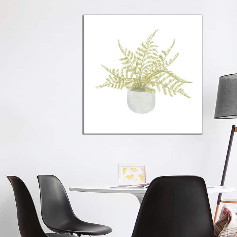 iCanvas "Potted Fern I" by Bannarot Canvas Print - 37x37x1.5