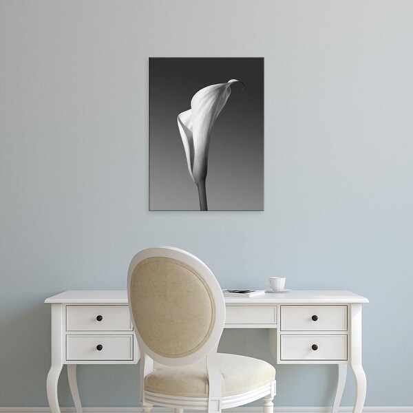 Easy Art Prints PhotoINC Studio's 'Calla No. 4' Premium Canvas Art