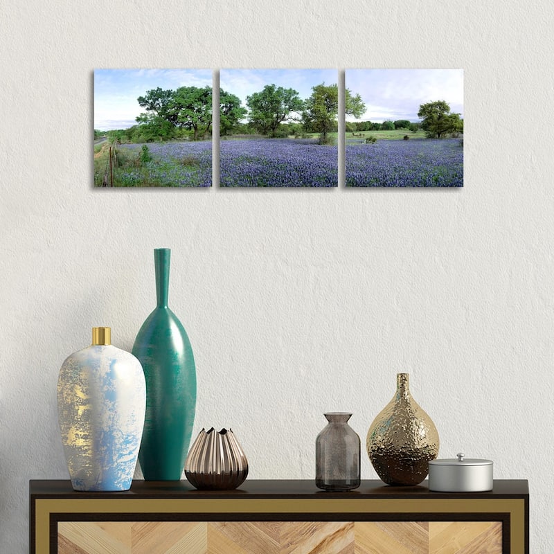 iCanvas "Field Of Bluebonnets, Hill County, Texas, USA" by Panoramic Images 3-Piece Canvas Wall Art Set - 12x36x1.5