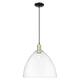 Option Clear / Black Antique Brass