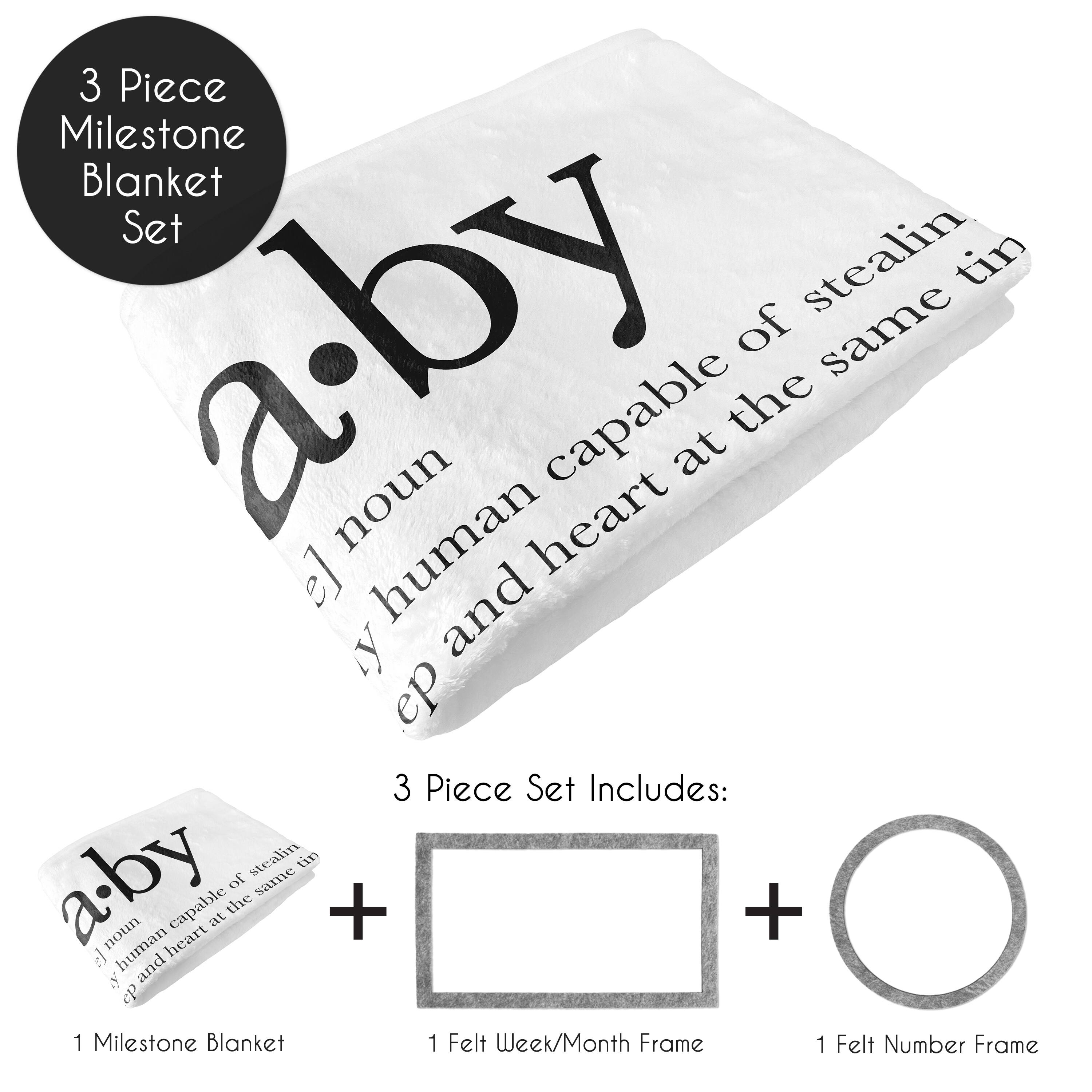 Sweet Jojo Designs Black White Boy Girl Gender Neutral Baby Monthly