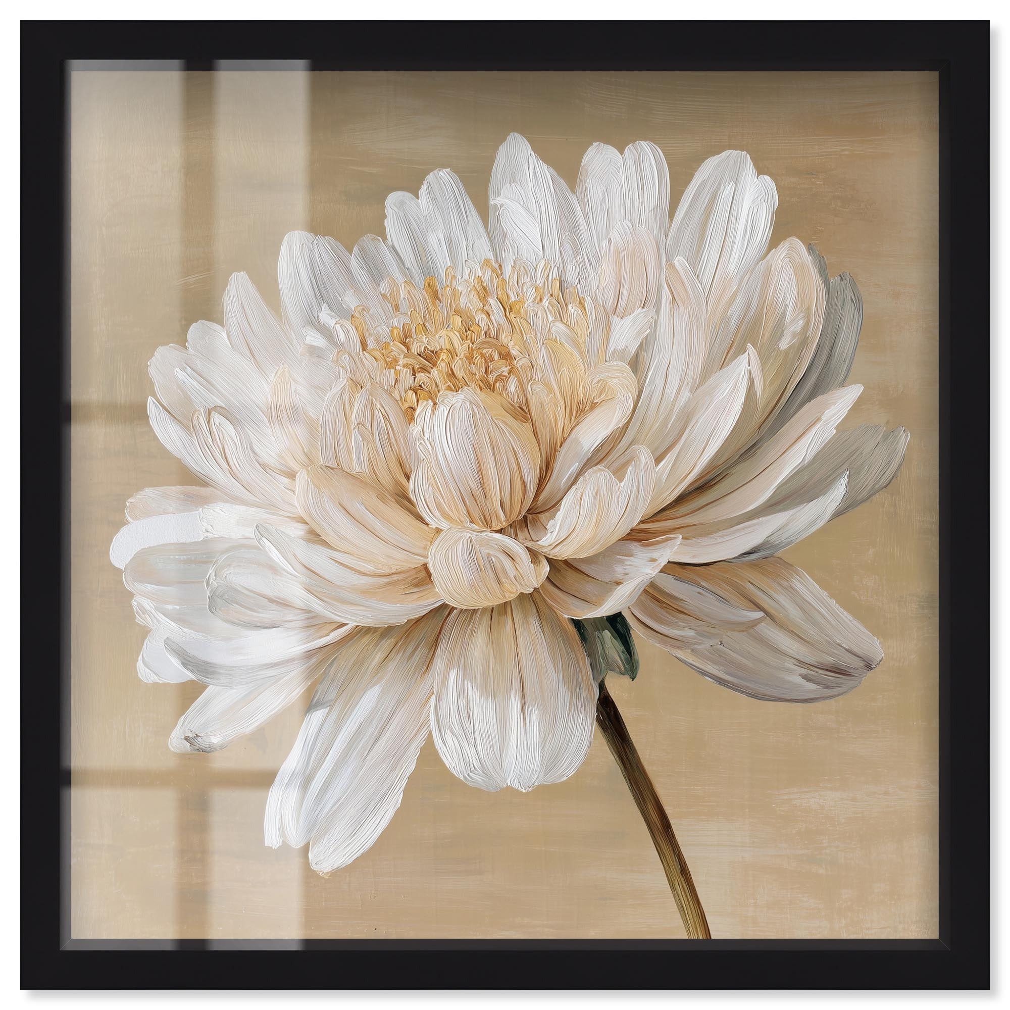 White Radiance II Floral Wall Art Shadowbox Print by Art Remedy