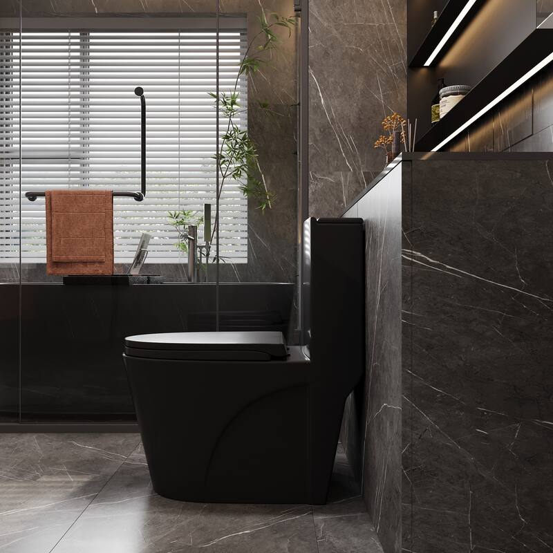 1.1/1.6 GPF Dual Flush 1-Piece Elongated Toilet with Matte Black