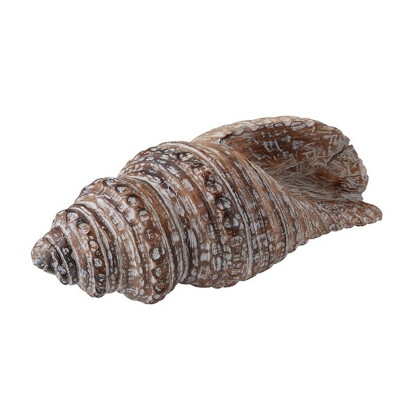 22" Brown Wooden Titus Conch Shell - N/A