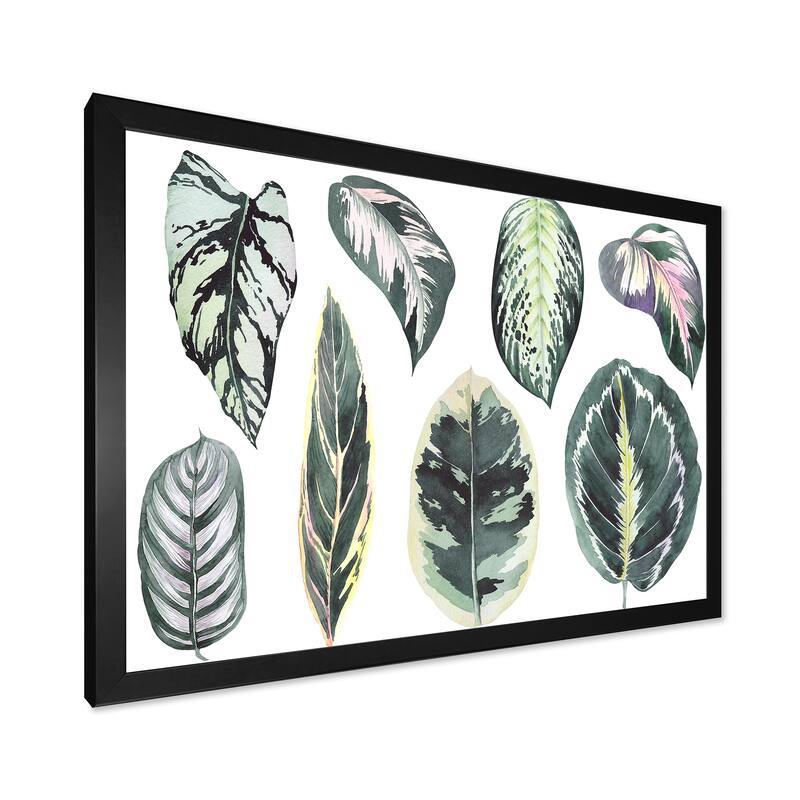Designart "Tropical Calathea Leaves" Bohemian & Eclectic Framed Art Print