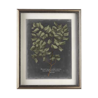 Foliage Dramatique V Framed Art Print