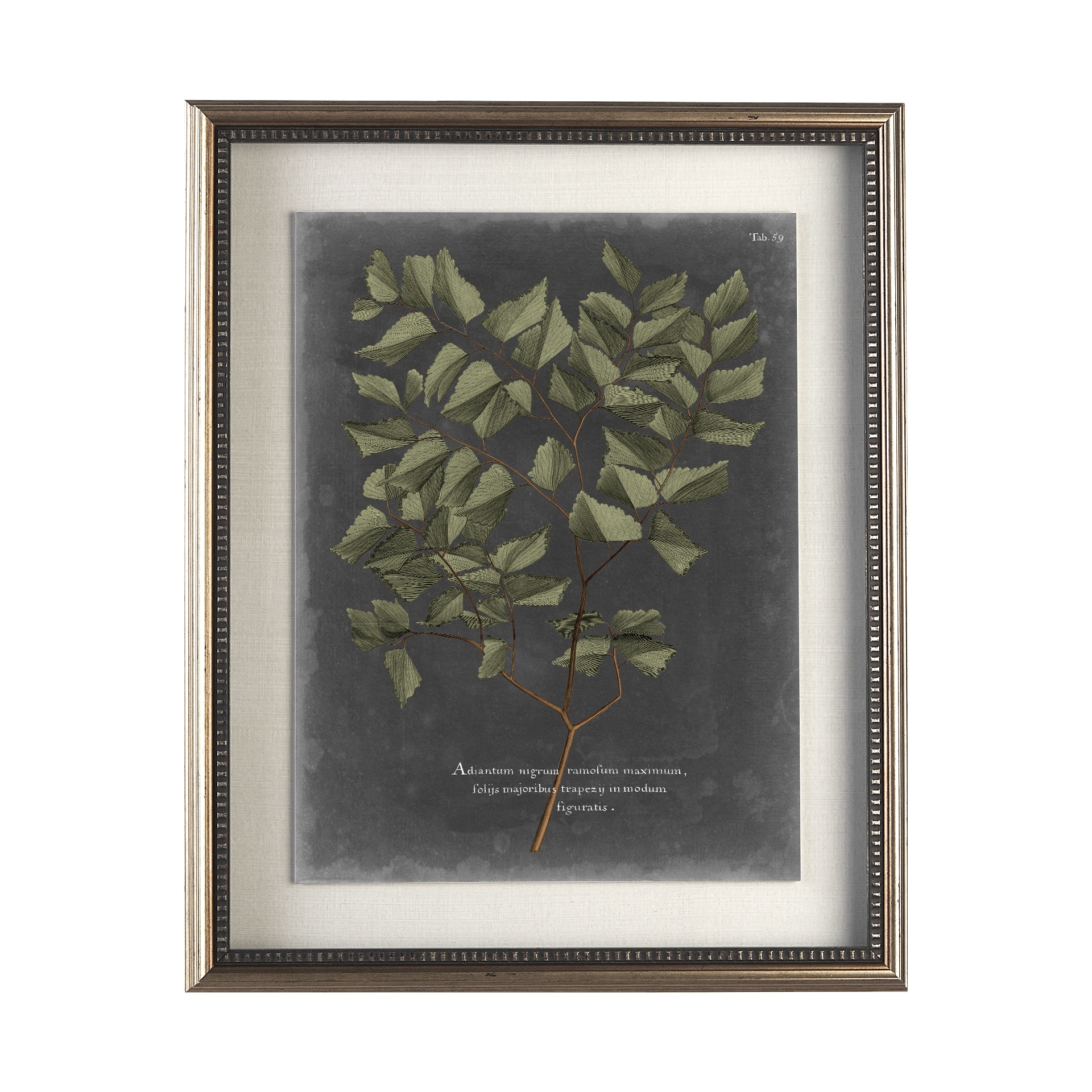Foliage Dramatique V by Vision Studio Hand Embellished Textured Framed Art Print Matted under Glass