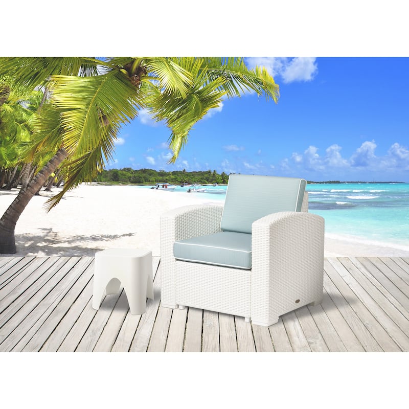 Magnolia Resin All-Weather Club Chair with Cushions