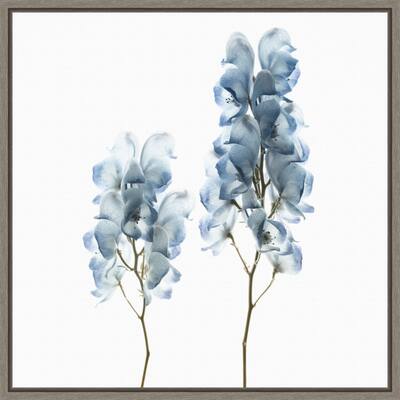 Blue Flower still life, Savanah Plank Framed Canvas