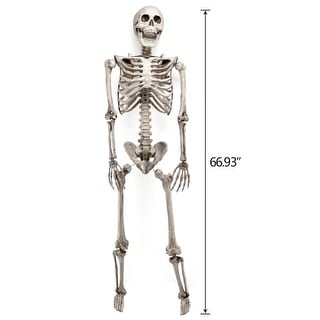 66" Posable Halloween Skeleton Decor Full Body Realistic Human Bones