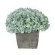 preview thumbnail 2 of 21, Faux Hydrangea in Grey Washed Wood Cube Planter