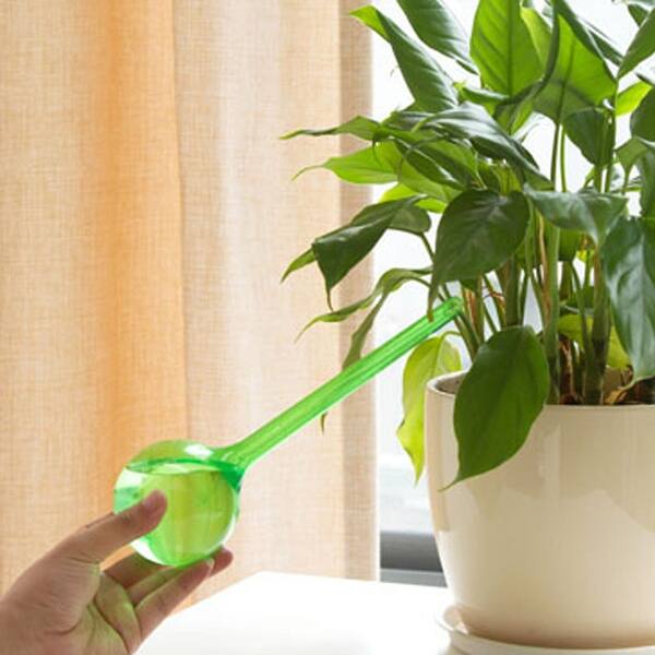Automatic Watering Device Houseplant Plant Pot Bulb G lobe Garden House  Waterer - Bed Bath & Beyond - 36899585