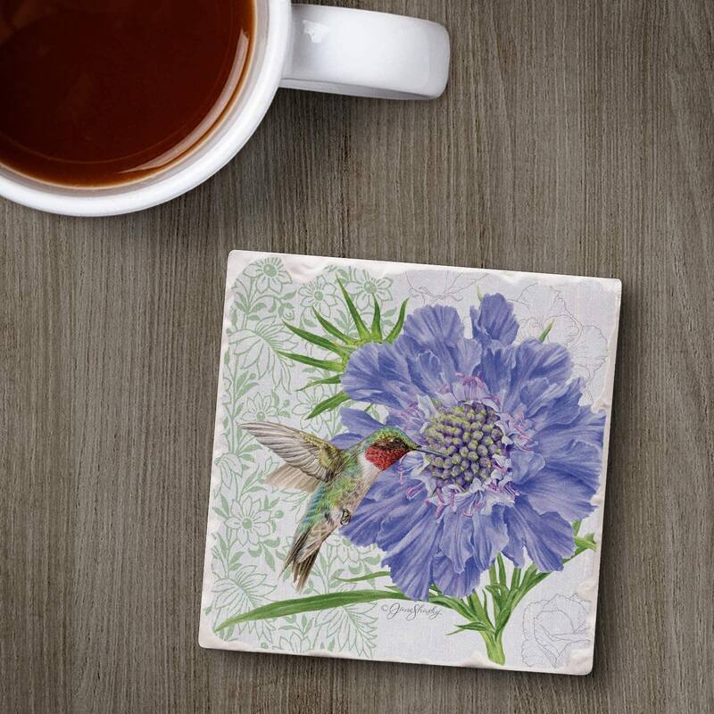 Absorbent Stone Beverage Coasters - Set of 4 - Scabiosa - Multi-154