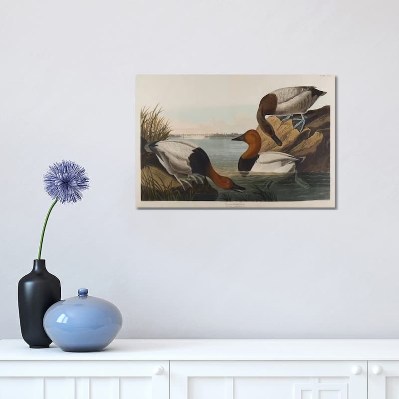 iCanvas "Canvas Backed Duck, 1836" by John James Audubon Canvas Print - 12x18x1.5