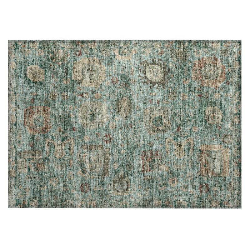 Machine Washable Indoor/ Outdoor Vintage Traditional Chantille Rug