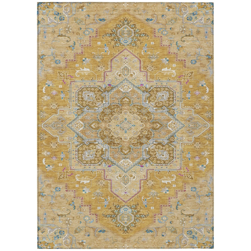 Machine Washable Indoor/ Outdoor Persian Traditional Chantille Rug