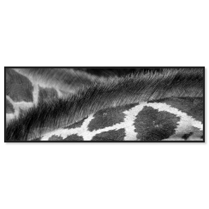 Giraffe Close Up Panoramic Canvas by Art Remedy - Black - 54" x 20"