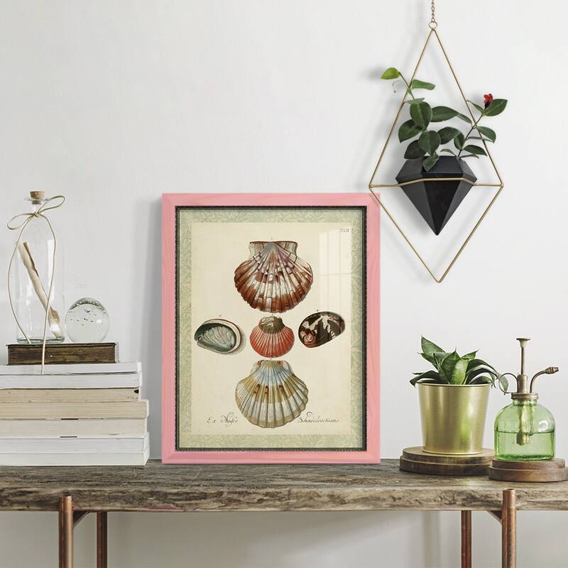 Bookplate Shells III -Framed Print w/glass-Cherry Red