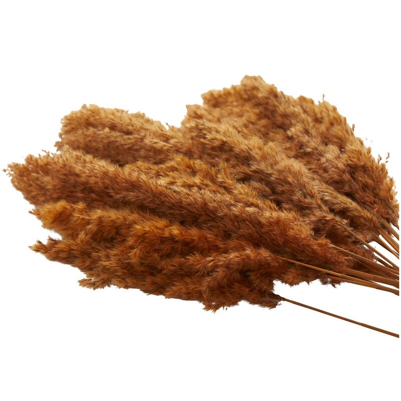 Dried Plant Pampas Grass Home Decor Natural Foliage with Long Stems - Orange - Roche River Decor