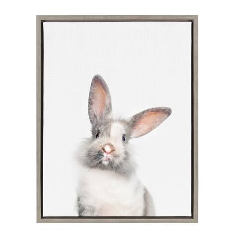 Sylvie M Baby Bunny Rabbit Animal Print Framed Canvas by Amy Peterson
