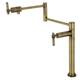 Option Antique Brass
