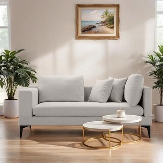 Luxury Modern Fabric Upholstered Loveseat Couch with Removable Sofa ...