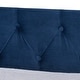 preview thumbnail 12 of 23, Larkin Modern Velvet Fabric Upholstered Daybed with Trundle