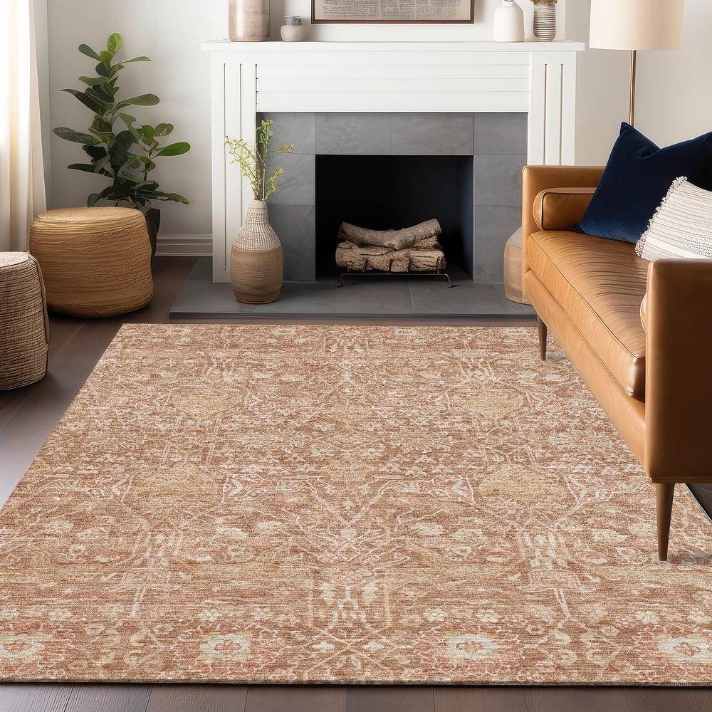 Machine Washable Indoor/ Outdoor Vintage Boho Chantille Rug