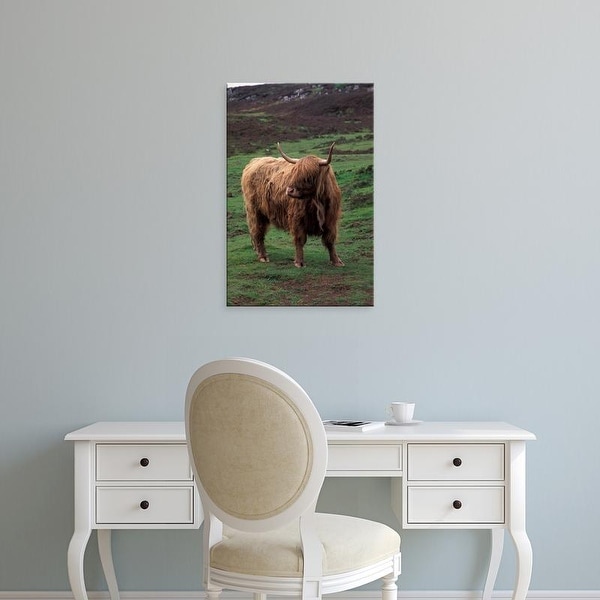 Easy Art Prints Gavriel Jecan's 'Scottish Highland Cattle' Premium Canvas Art