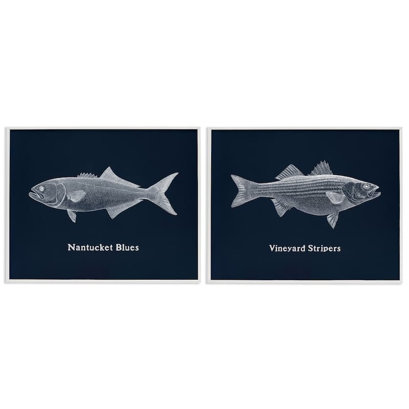 Stupell Harbor Fish Phrases Framed Giclee Art Design By Phillipa Katz (Set of 2) - 14 x 11 - White