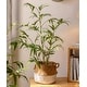 Artificial Bamboo Leaves in Pot - Bed Bath & Beyond - 40196556