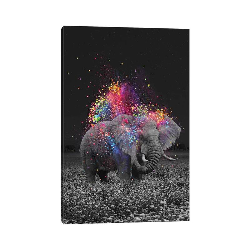 iCanvas "True Colors Elephant" by Soaring Anchor Designs Canvas Print