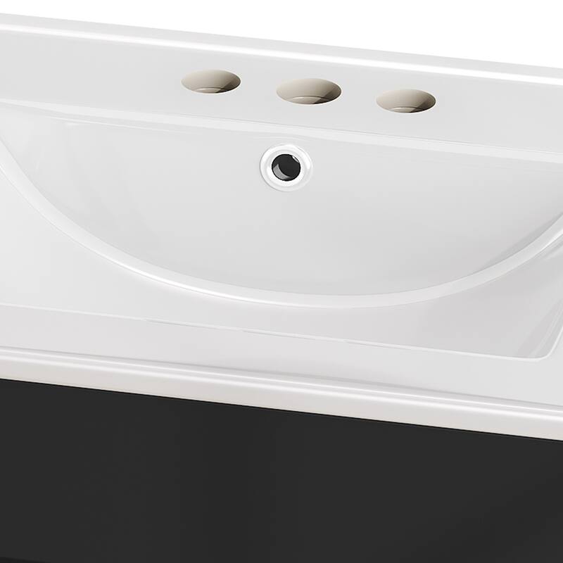 Moasis 24 Inch Bathroom Vanity with Undermount Sink and Soft Close Door Modern Design