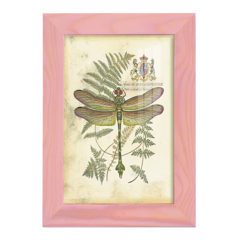 Regal Dragonfly III (PP) -Framed Print w/glass-Cherry Red