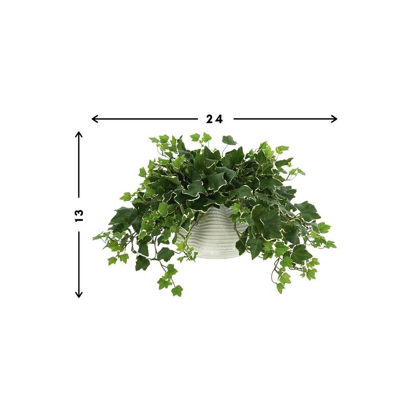 Ivy Plant in a Glass Vase - Green