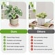 preview thumbnail 4 of 11, Plant Saucers, Anti-Rot Root Resin Flower Pot Plant Saucers for Indoor/Outdoor, Flowerpot Drip Tray