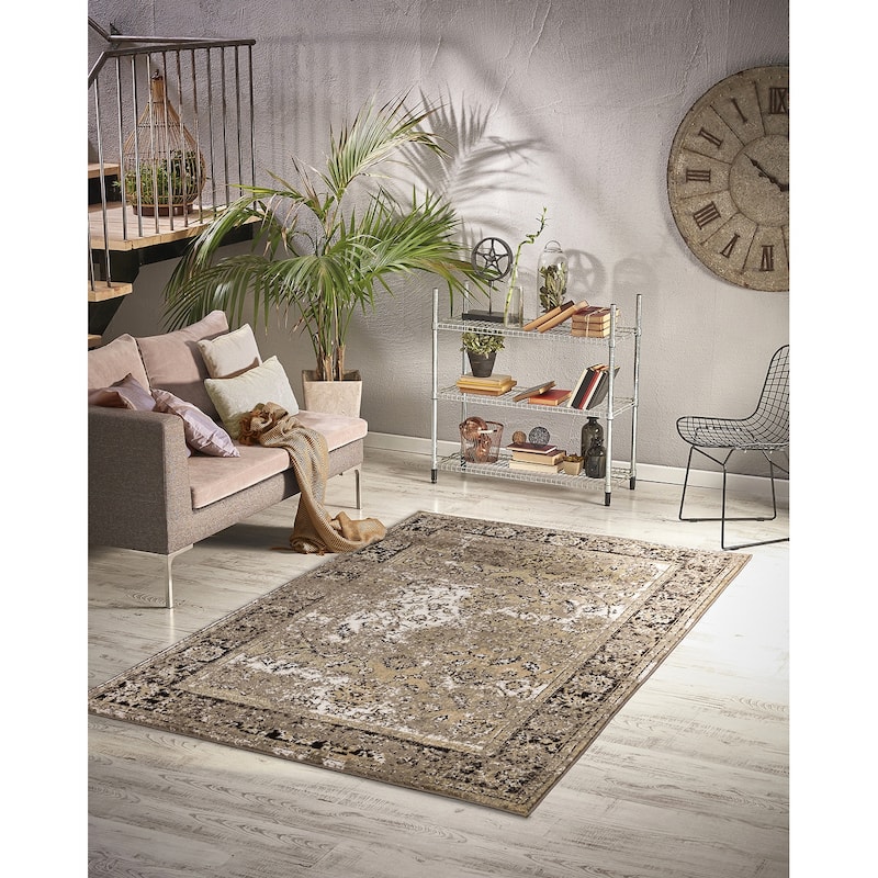 Homeward Collection Area Rug Oriental Rug for Living Room