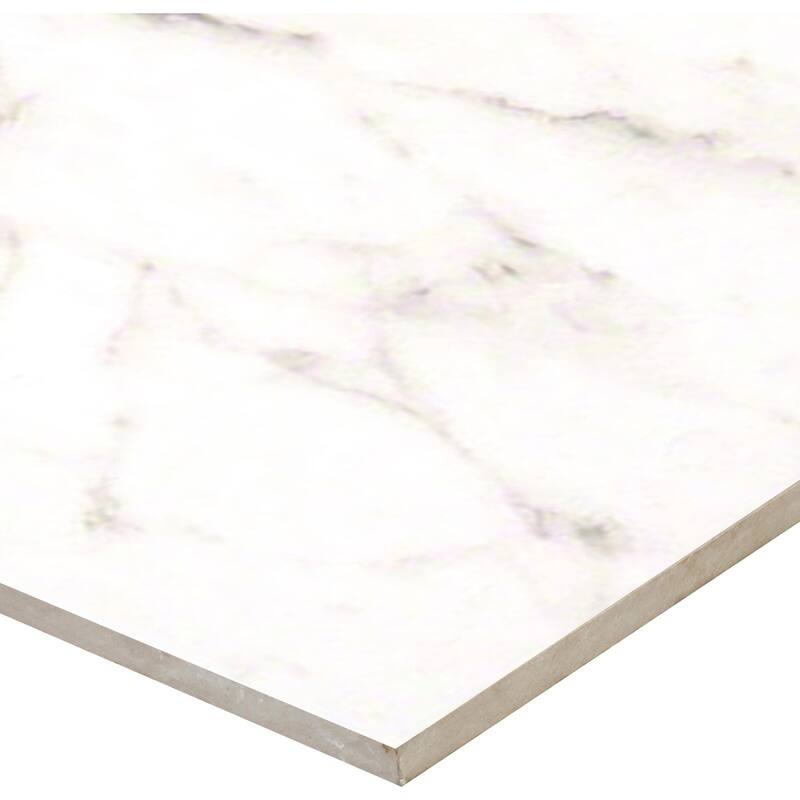 Ackland AKNPTLEG12X24M-PL Legacy - 12" x 24" Ceramic Solid Tile - - Arclina